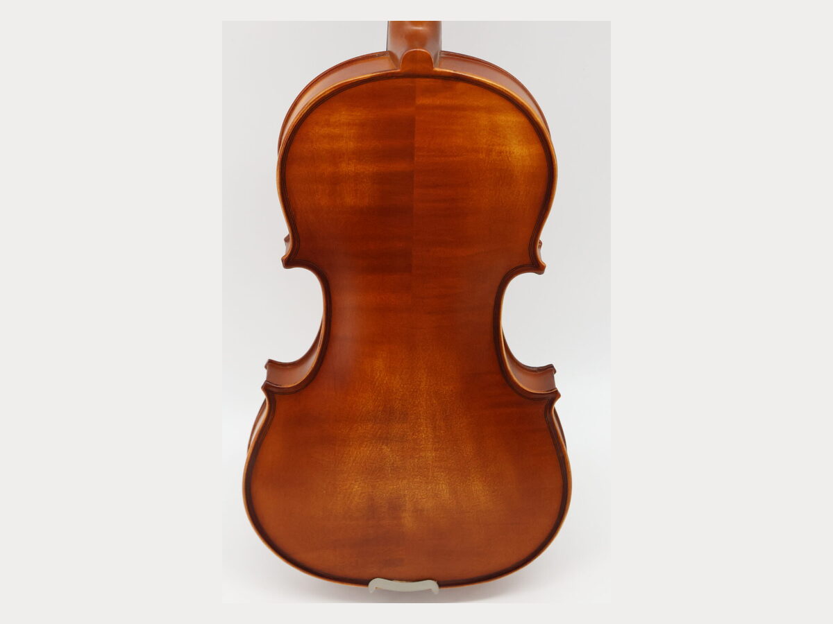 Flamed maple violin back